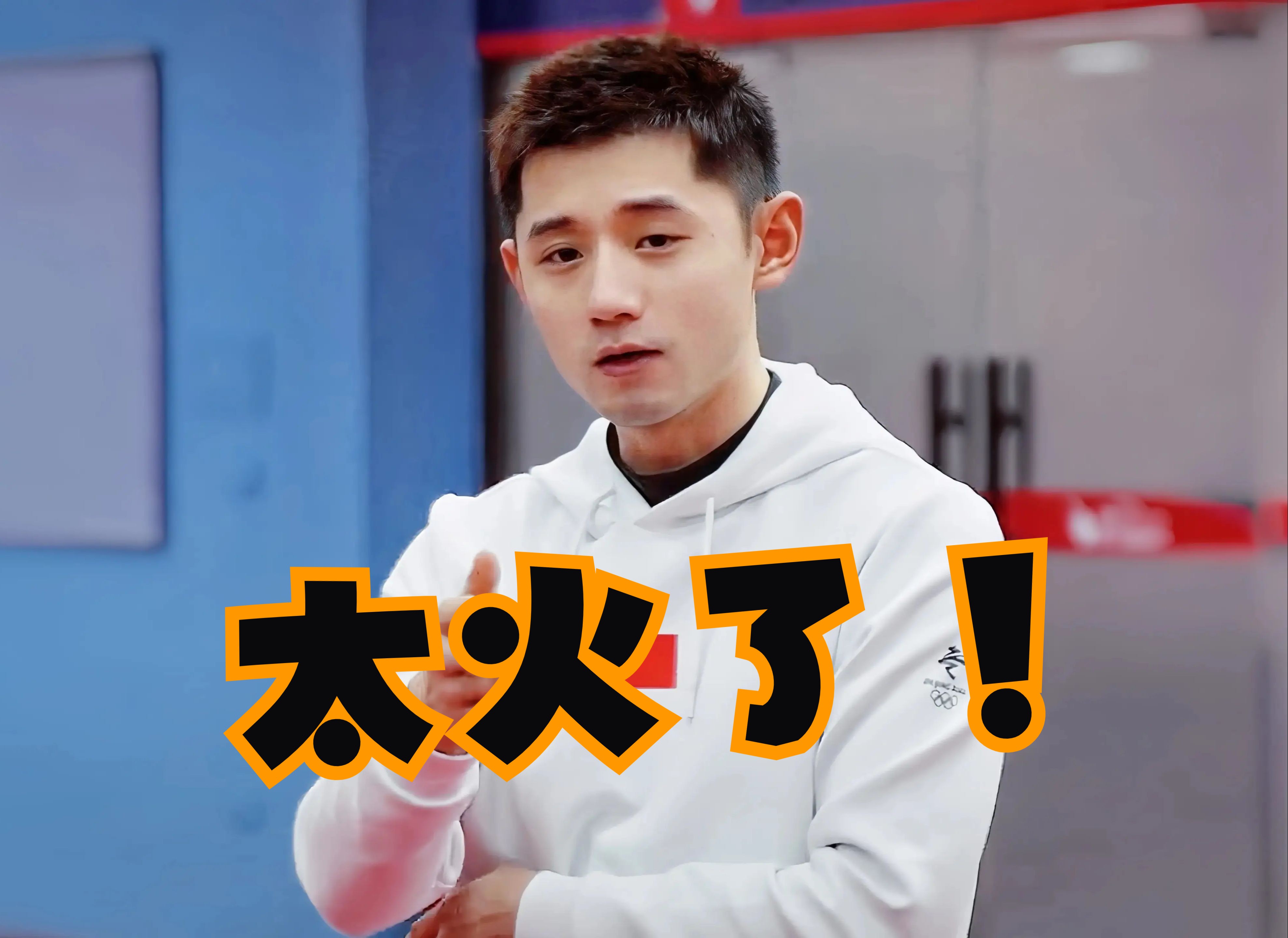 日本乒乓球队力克韩国乒乓球队，张继科统治全场的简单介绍