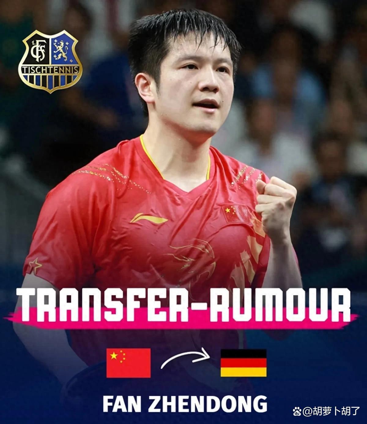 开云APP-德国队力克波兰队，樊振东扛起全队