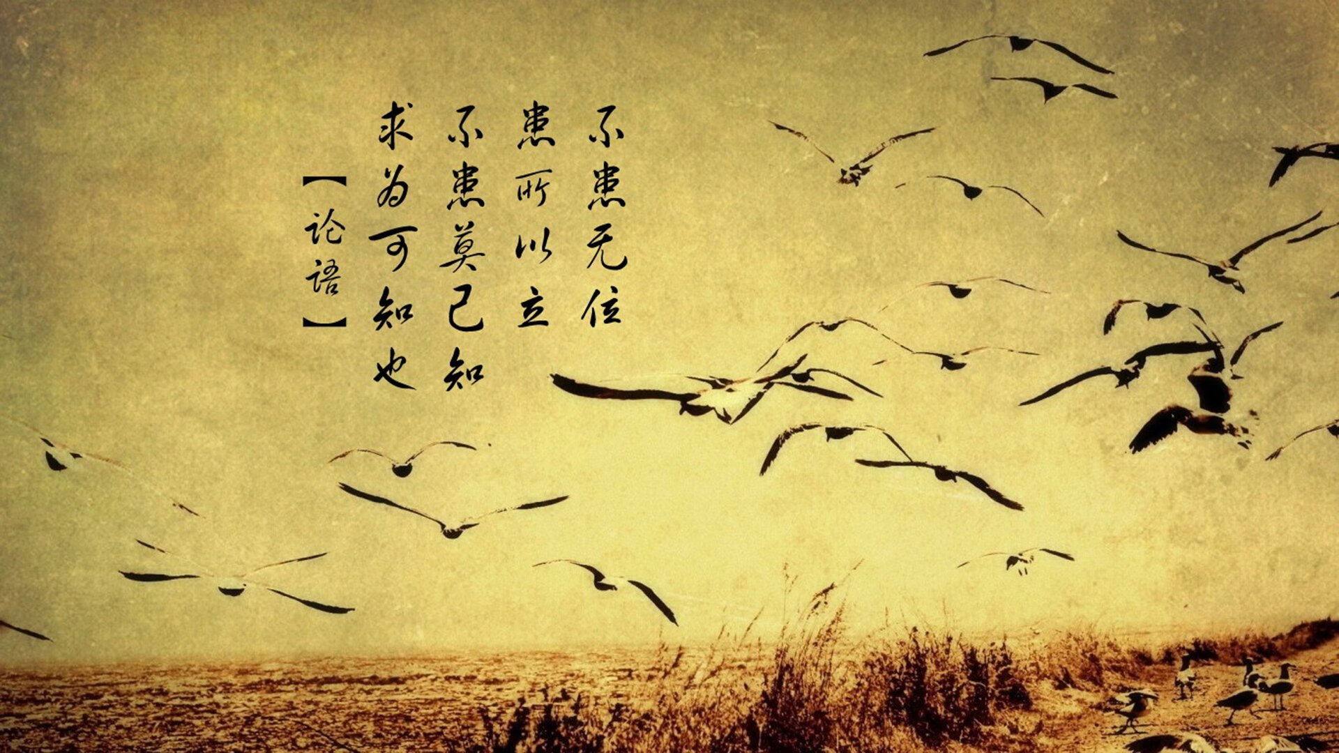 2026世界杯之夜,克莱存在感拉满,那个被遗忘者的加时绝杀