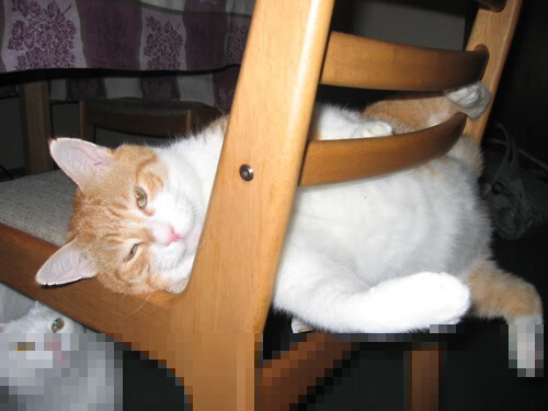 开云体育登录-残酷的幸存者游戏，当骑士血战抢七，欧冠战场正上演着同样的剧本