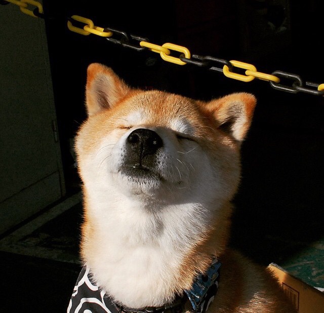 救赎之夜，拉文用嗜血绝杀叩响巴黎大门