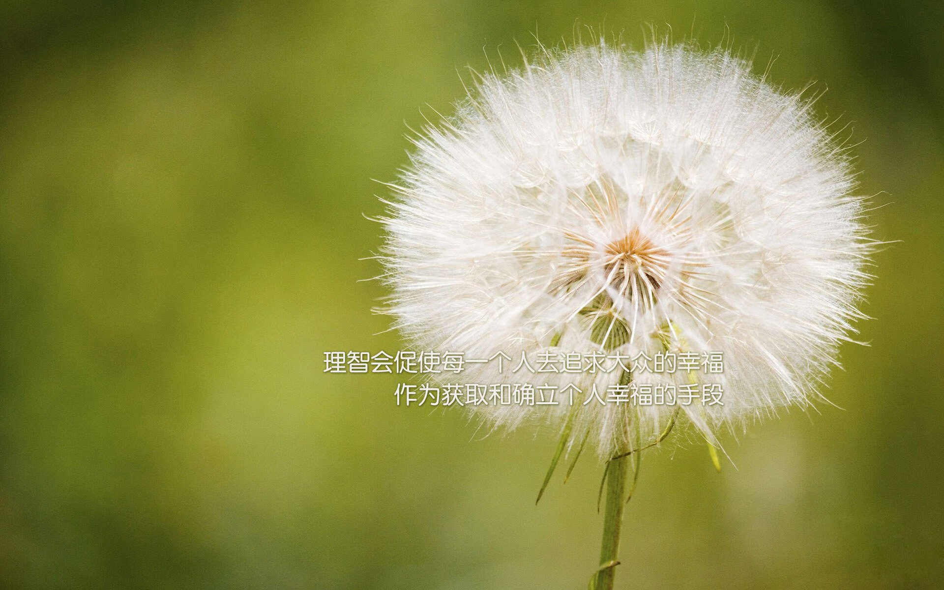 突尼斯对阵南非,加维持续制造杀伤,点燃绿茵激情之战