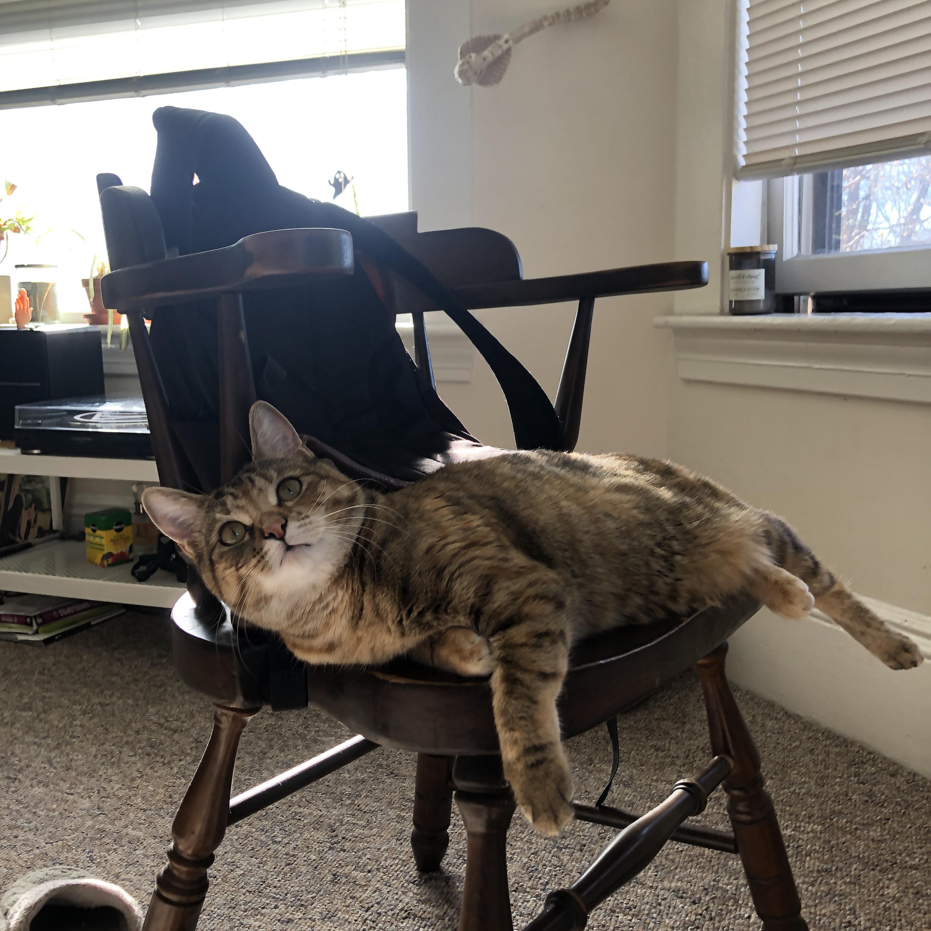 加勒比闪电击溃地中海堡垒，马丁内利冠军级表现引领牙勒友谊赛风云