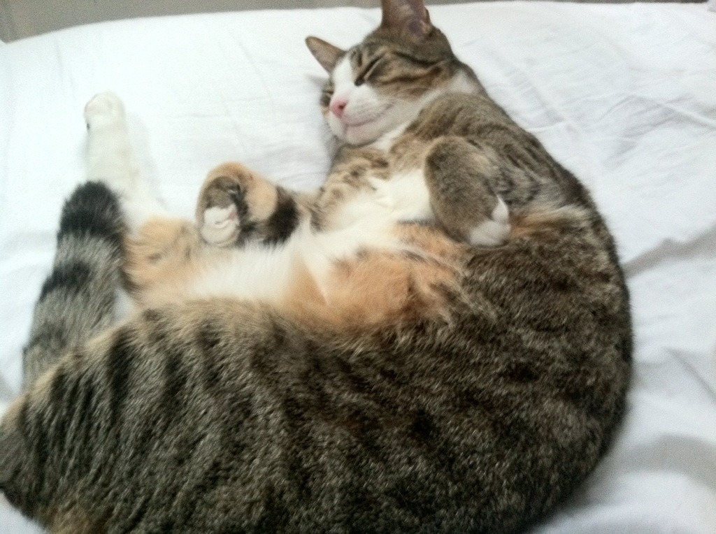 F1街道赛之夜，德罗赞关键进球定乾坤