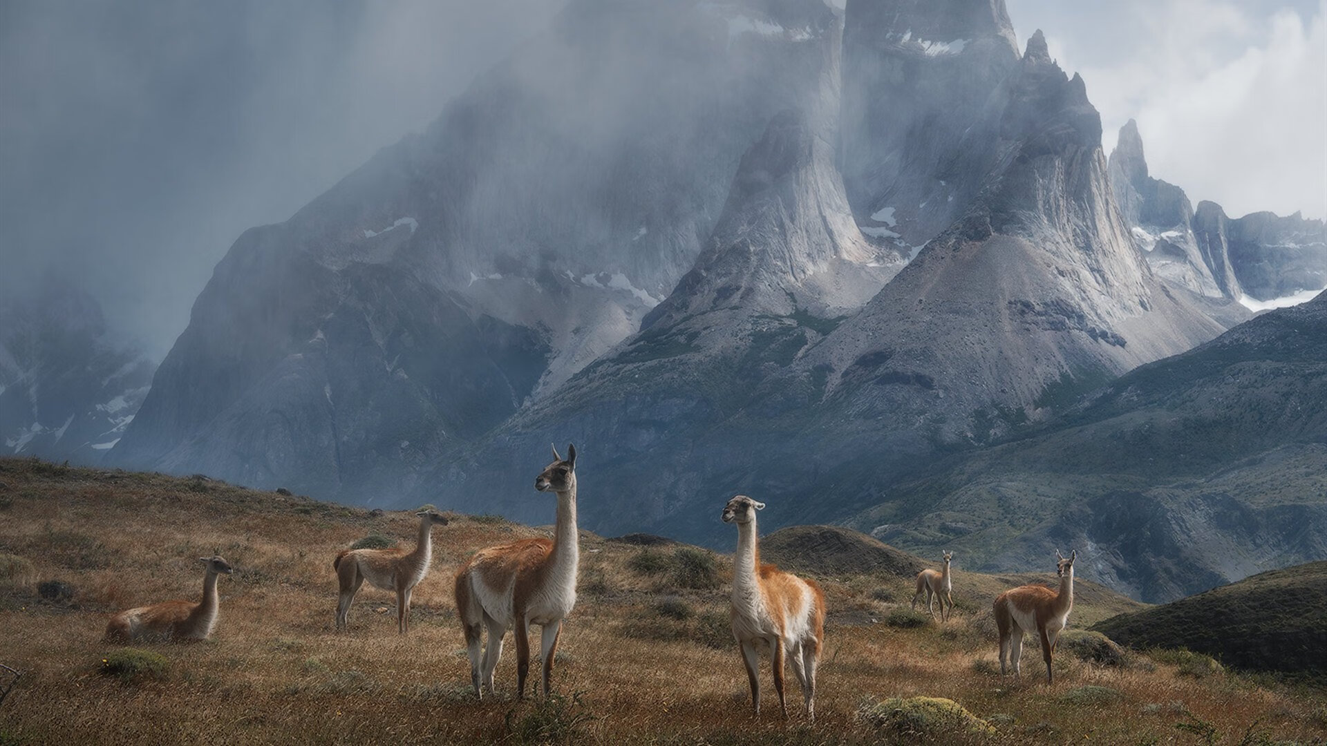 利拉德时间提前降临！他用三节比赛浇灭奇才逆袭火种