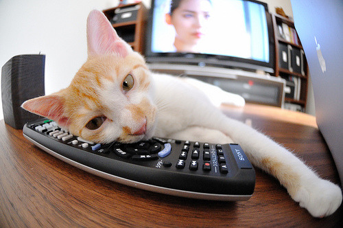 独行侠绝境重生,东契奇47分史诗夜撕裂爵士防线