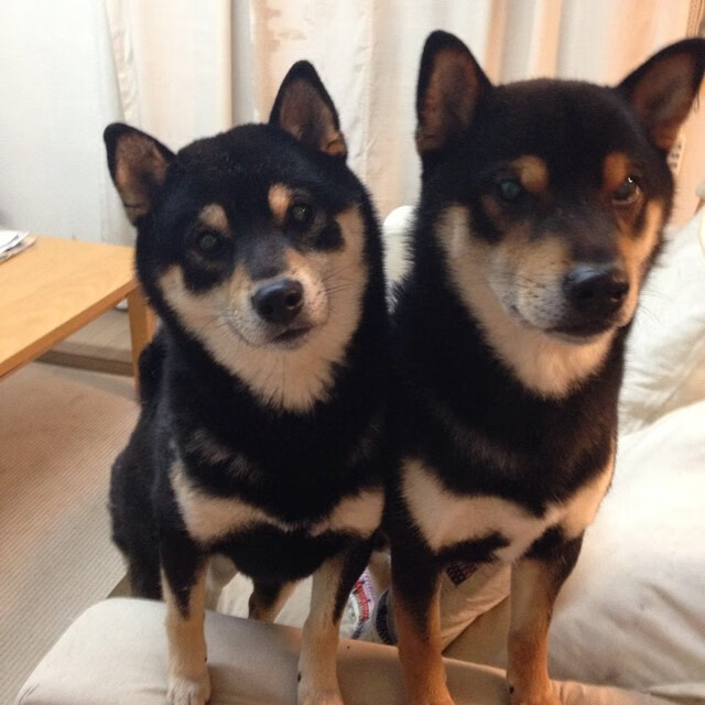 开云体育平台APP-拉梅洛数据风暴,一场决赛重写巨星定义的欧冠之夜