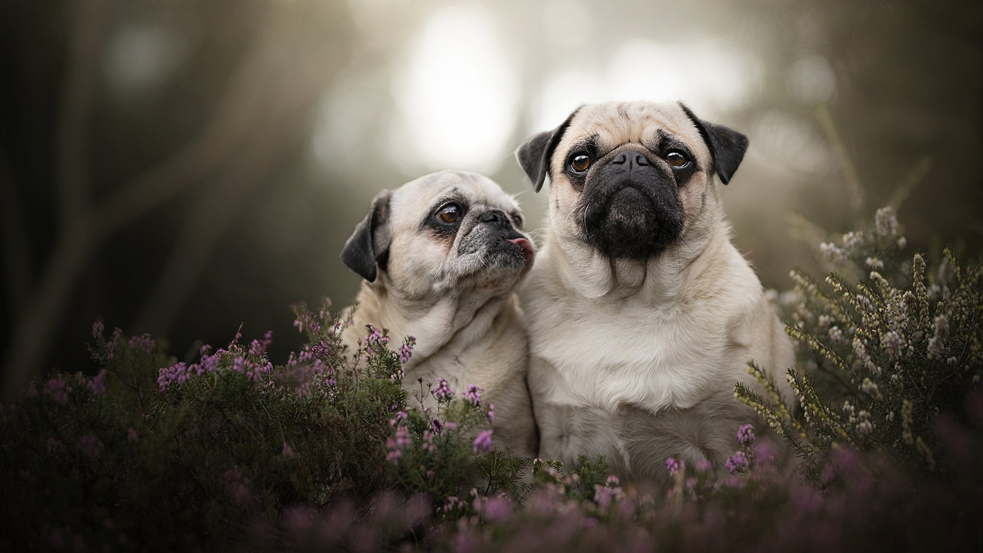 开云体育登录-挥出死亡缠绕,这一次他用进攻终结比赛