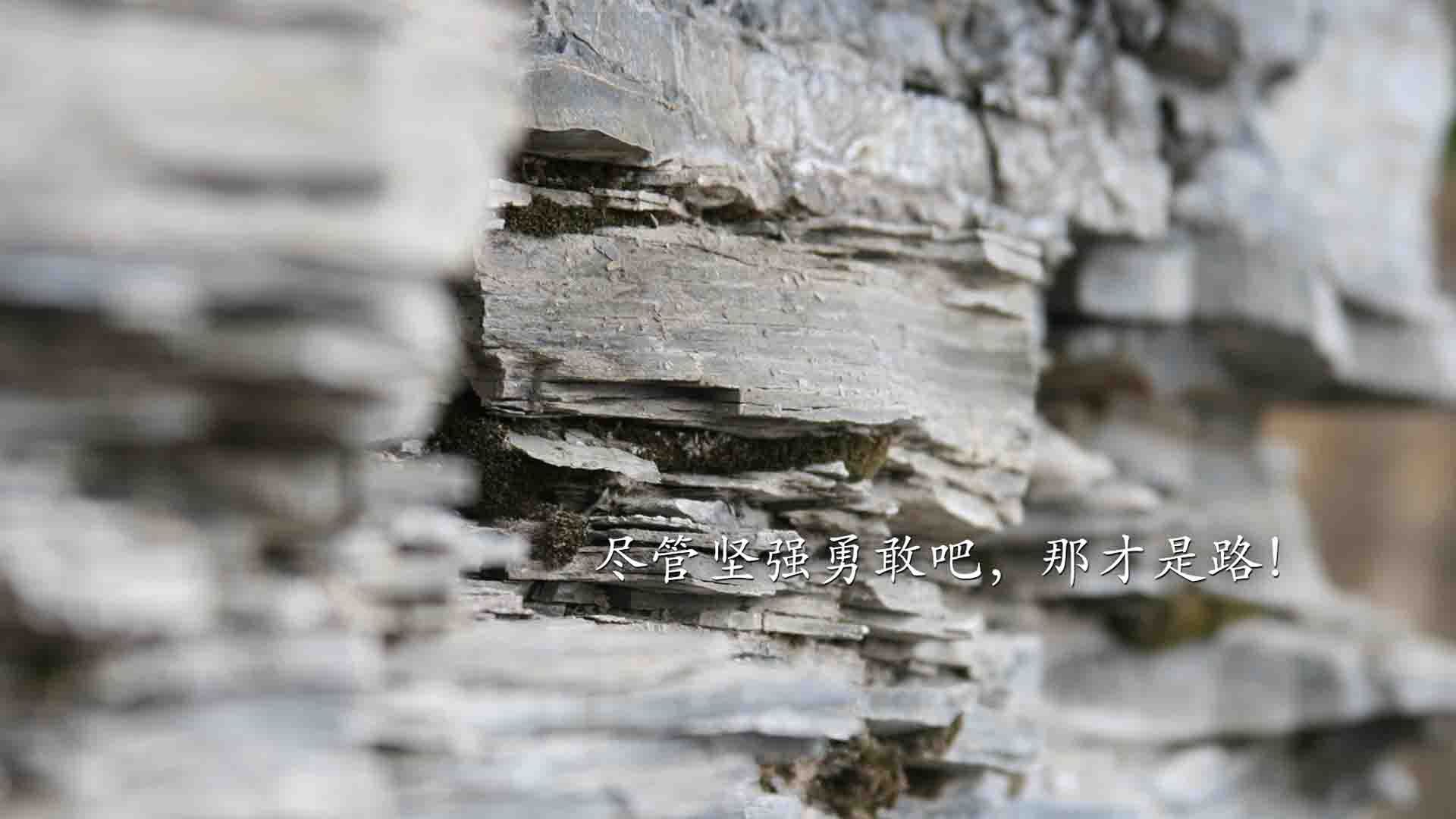 开云APP-利拉德奥运关键战接管显神威，奇才争冠力克活塞铸就团队辉煌