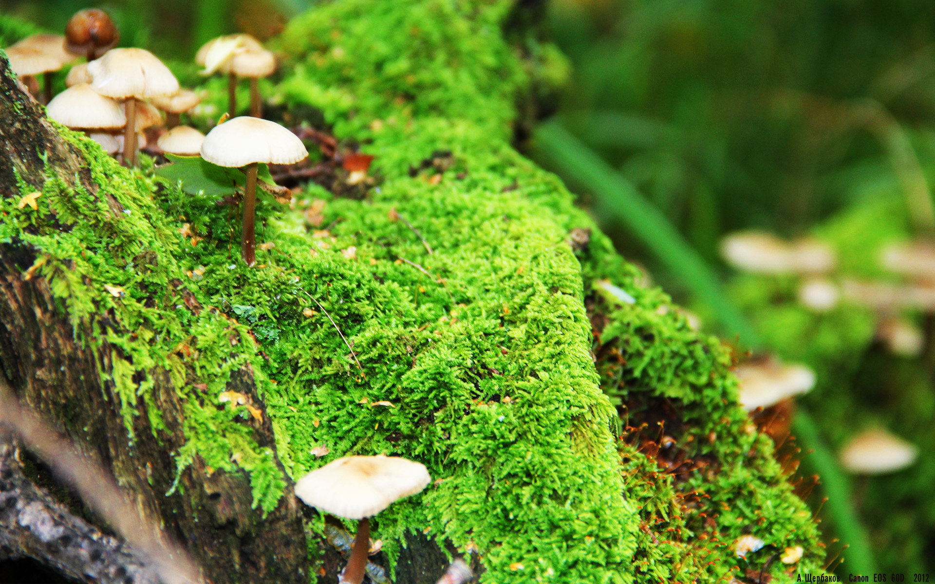 开云体育在线-刺穿快船最后防线,拉文如何成为爵士的逆转谜题?