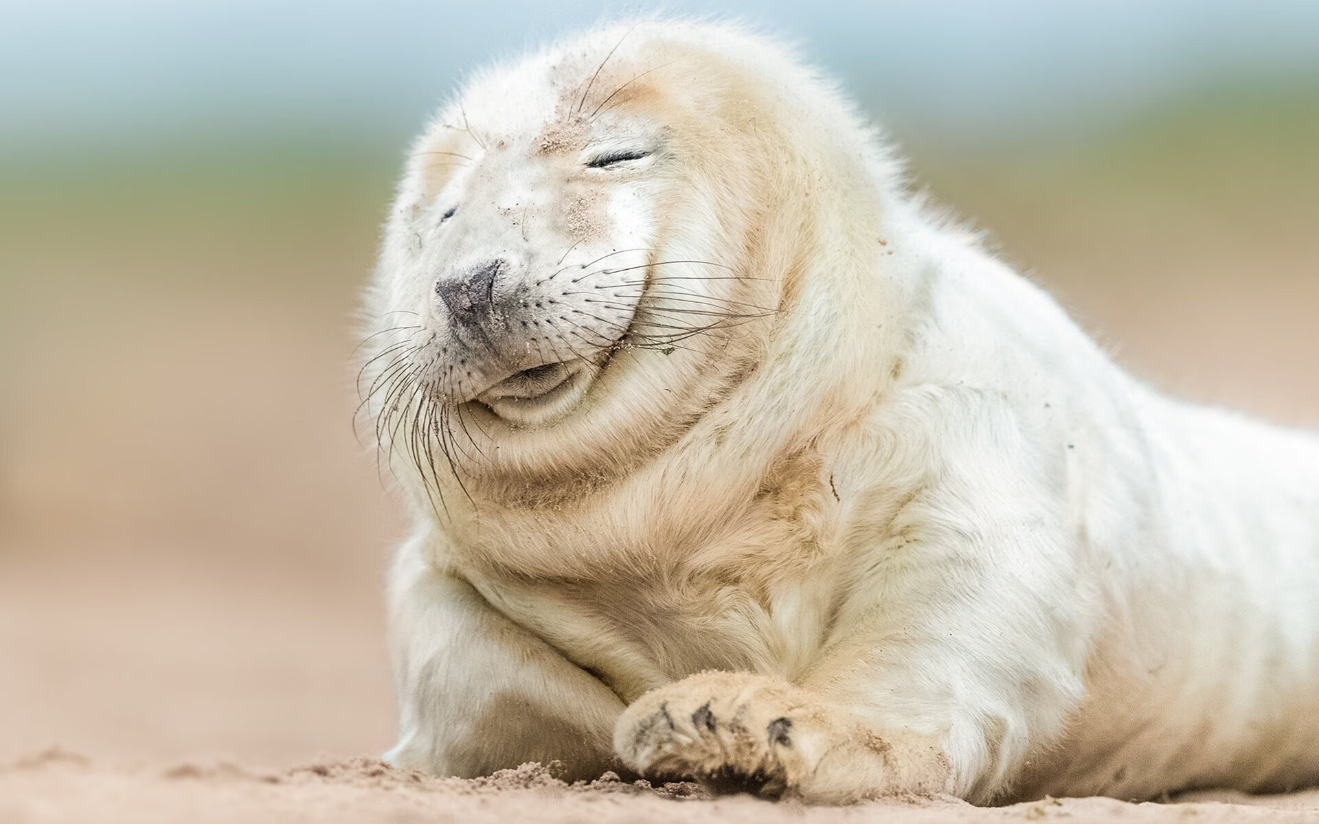 开云体育-东方沪上强硬破魔，西方文班统治德甲—篮球世界里的双城记