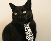 巴拉圭掀翻玻利维亚，阿什拉夫成为关键先生