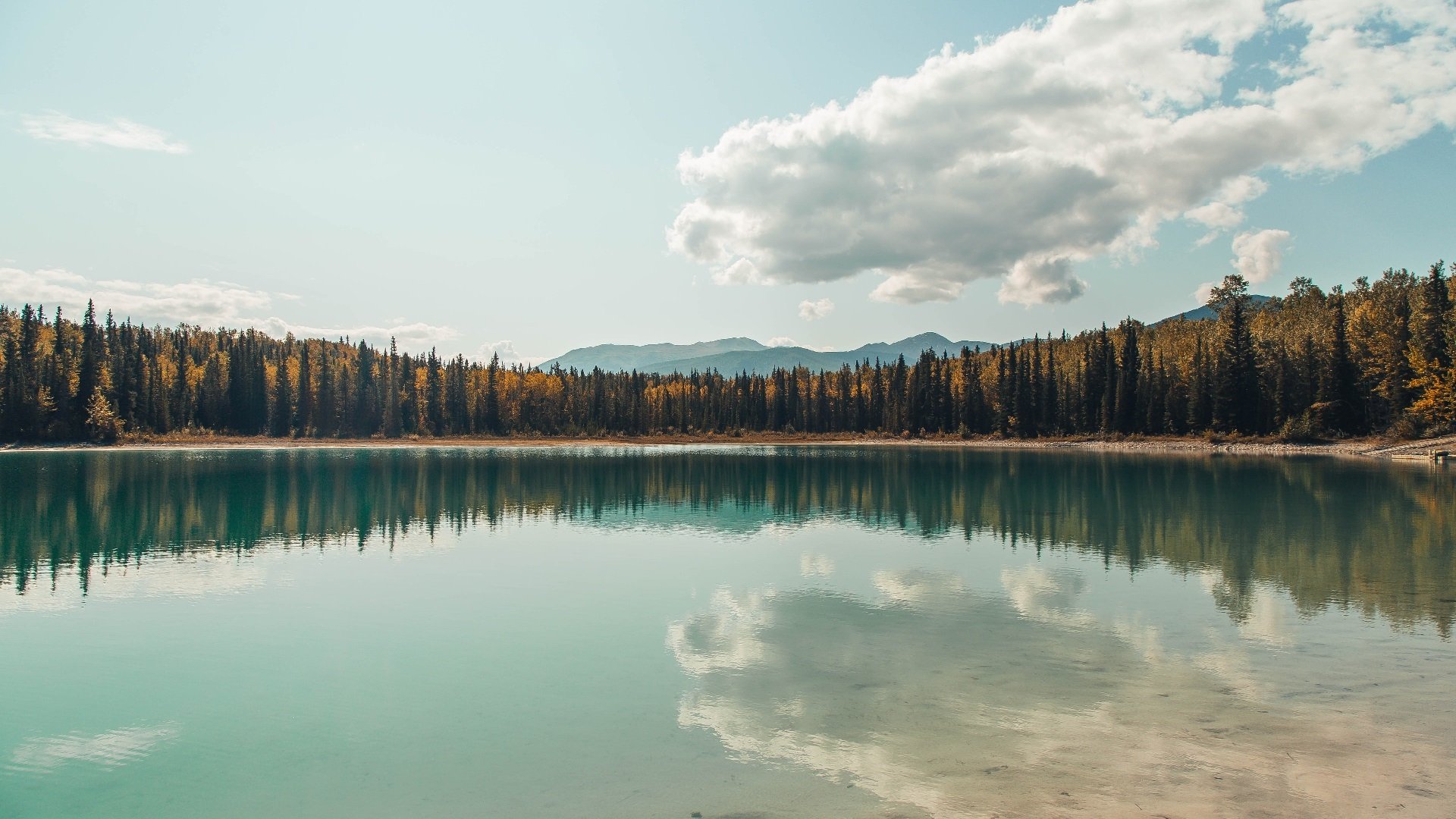 F1年度争冠之夜，孔德的高光时刻